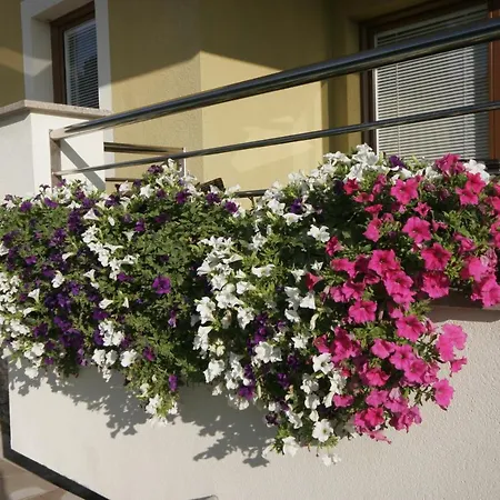 Salatic Apartment *