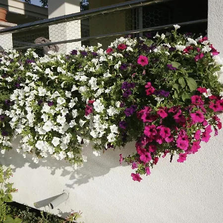 Apartment Salatic Krk Town