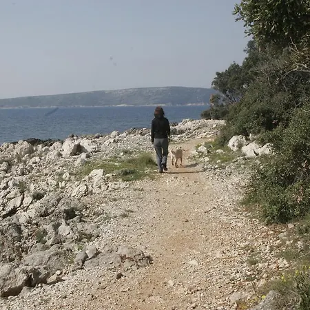 Apartamento Salatic *